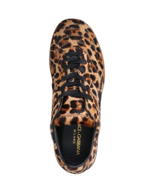 Dolce & Gabbana Brown Round-Toe Low-Top Casual Shoes for men
