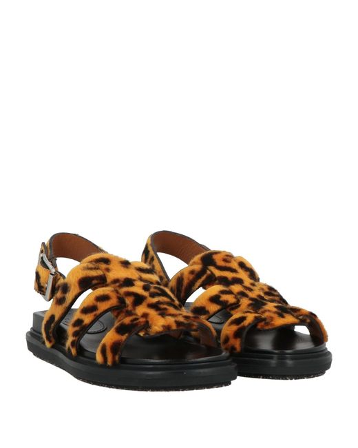 Marni Brown Leopard Print Casual Sandals