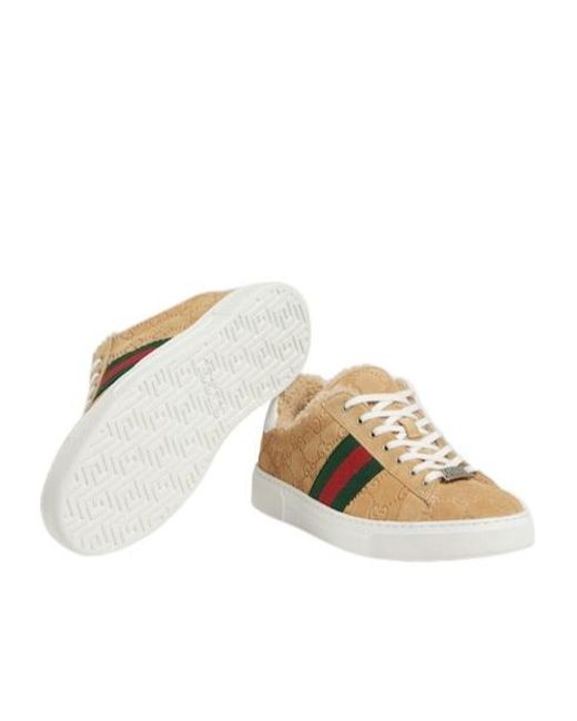 Gucci Multicolor Web Detailed Low-Top Sneakers