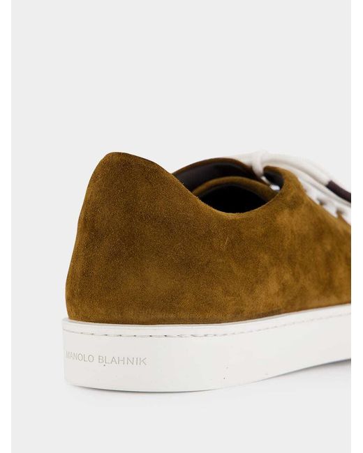 Manolo Blahnik Brown Lace-Up Low-Cut Casual Shoes for men
