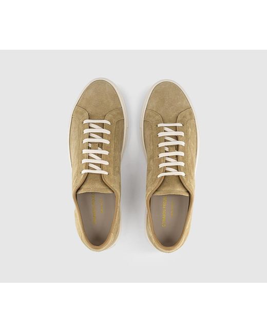 Common Projects Natural Achilles Suede Sneakers for men