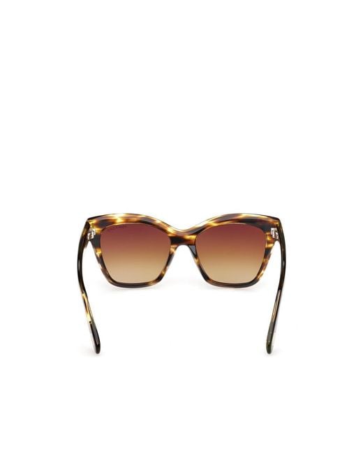 Tom Ford Multicolor Eyewear Cat-Eye Sunglasses