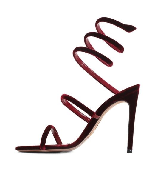 Rene Caovilla Pink René Caovilla Straped Heeled Sandals