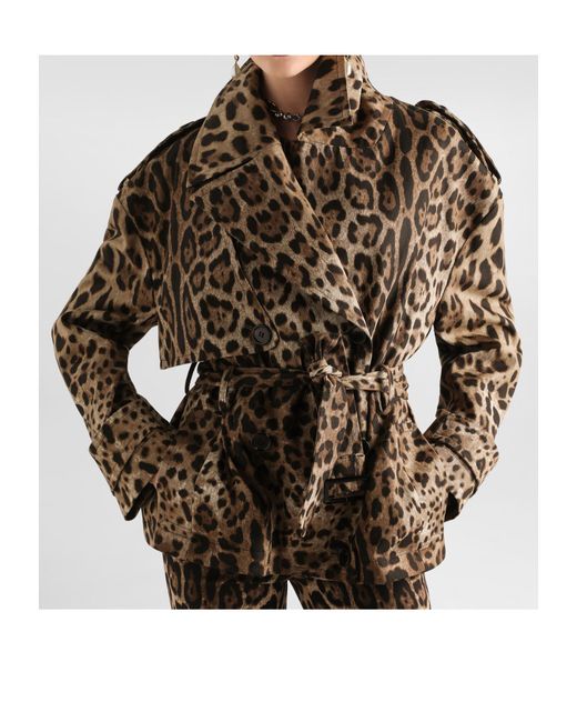 Dolce & Gabbana Brown Leopard Printed Trench Coat