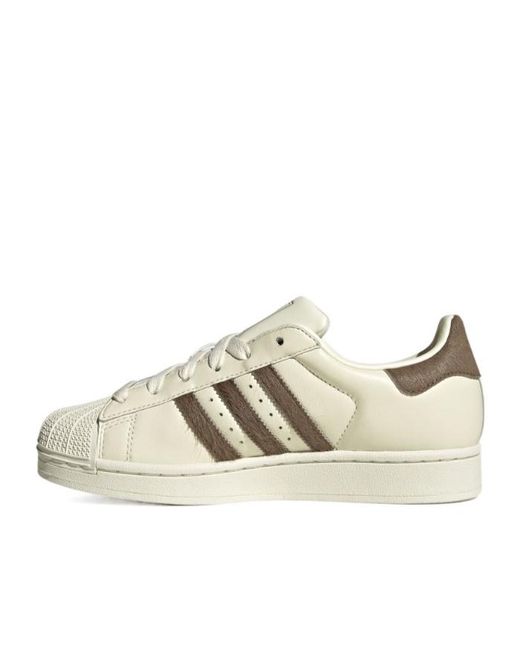 Adidas Originals Natural Superstar Ii Striped Sneakers