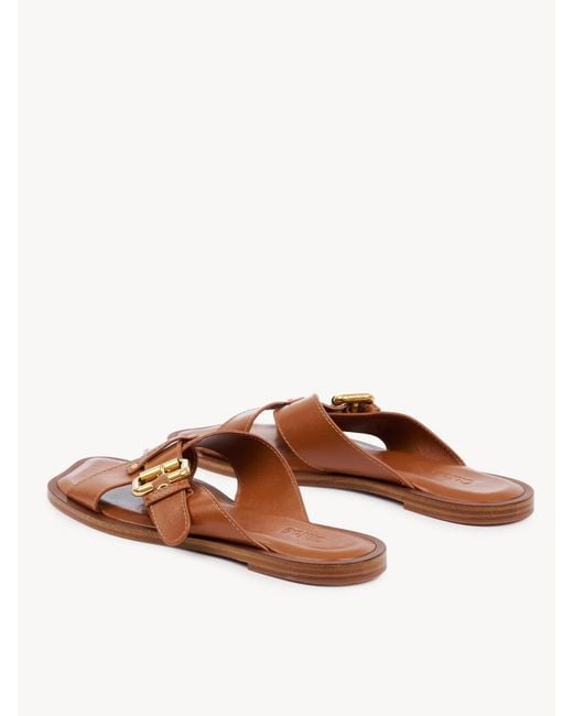 Chloé Brown Nil Slide