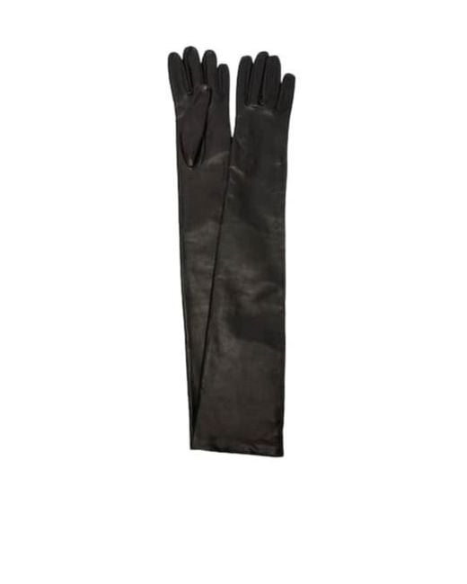 Nour Hammour Black Elbow Gloves