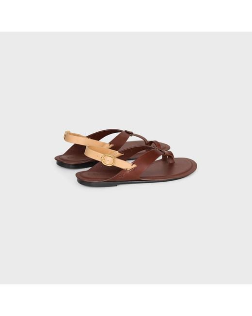 Céline Brown Onyx Thong Sandal