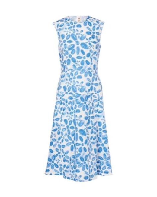 Marni Blue Printed Cotton Midi Dress