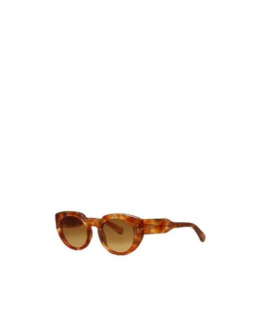 Chloé Natural Colored Round Plastic Frame Sunglasses