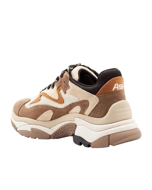 Ash Brown Round-Toe Sneakers