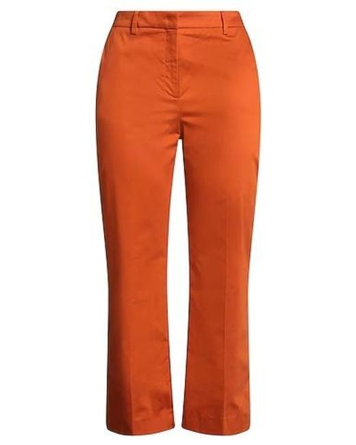 MAX&Co. Orange Simple High-Waisted Flared Trousers