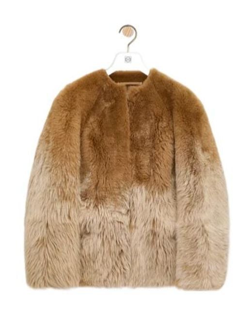 Loewe Brown Jacket