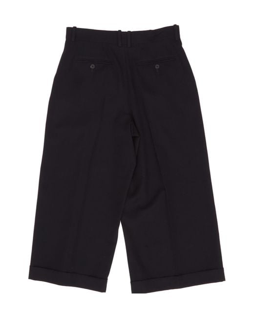 The Row Blue Lior Pleated Pants