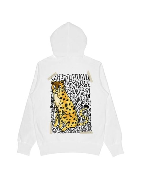 CHARLIE LUCIANO Gray Printed Sweater for men