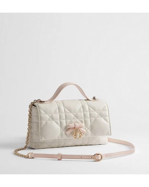Dior Multicolor Qixi My Tender Top Handle Mini Bag