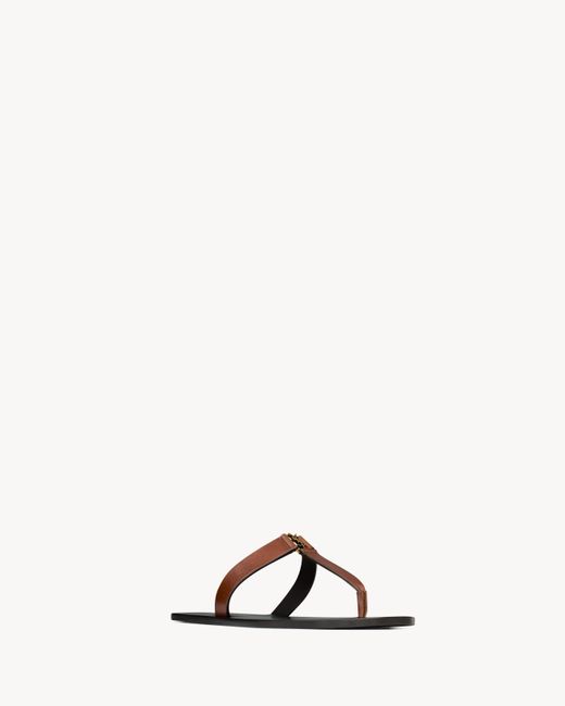 Saint Laurent Brown Babylone Thong Flat Sandals