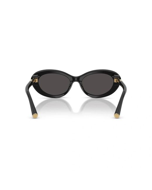 Dolce & Gabbana Black Eyewear Oval Frame Sunglasses