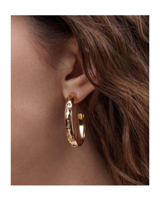 Dior Brown Trésorhoop Earrings