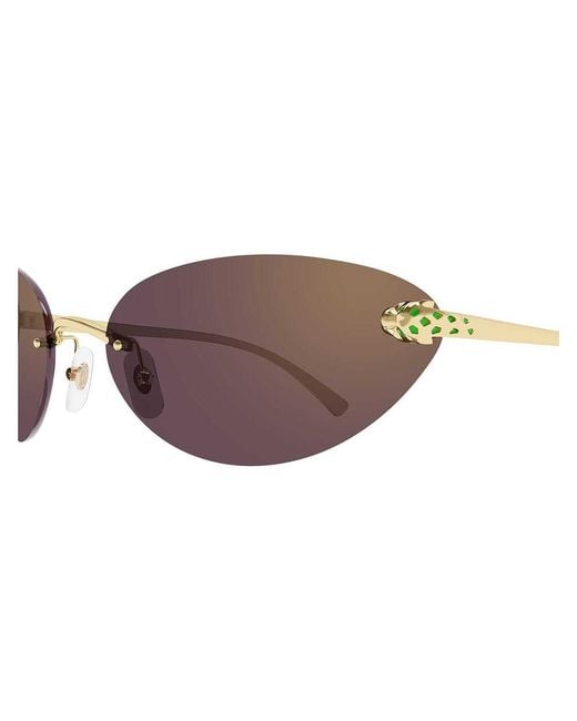 Cartier Multicolor Cat Eye Frame Sunglasses