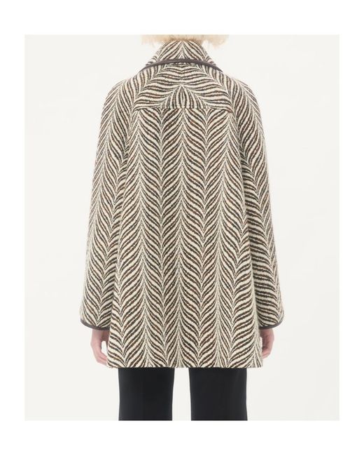 Valentino Gray Fauve Éclat Animalier Peacoat