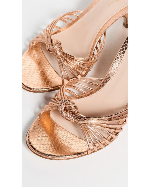 Gianvito Rossi Natural Malè Strappy Mules