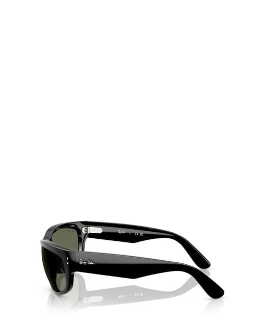 Ray-Ban Gray Sunglasses