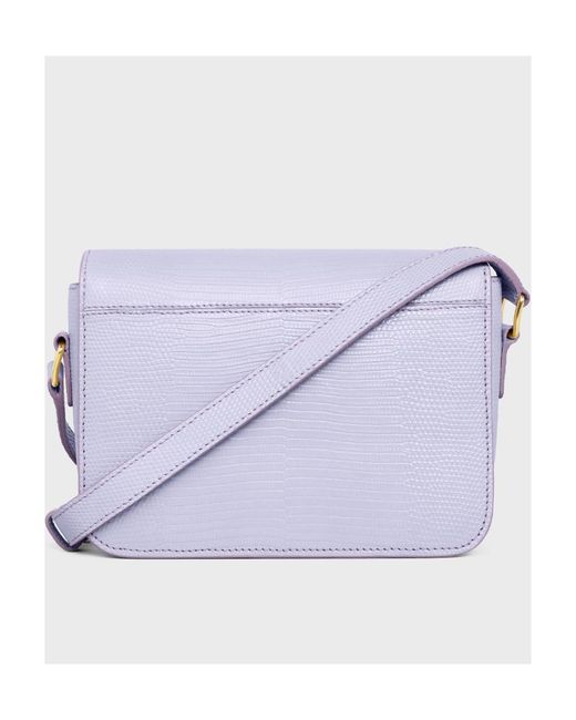 Céline Blue Teen Triomphe Bag