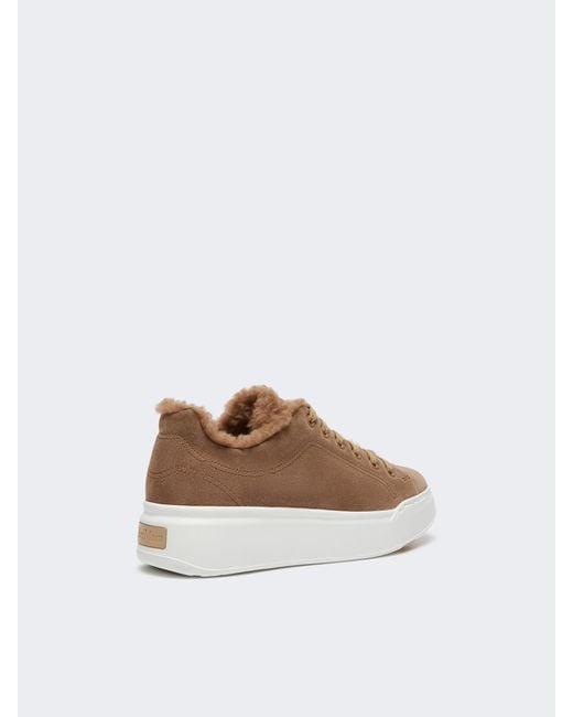 Max Mara Brown Tmaxi Round-Toe Lace-Up Sneakers
