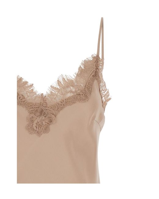 Gold Hawk Brown Lace Trim Camie Top