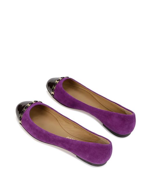Ferragamo Purple Spliced Ballet Shoes