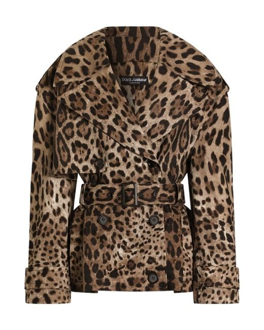 Dolce & Gabbana Brown Leopard Printed Trench Coat