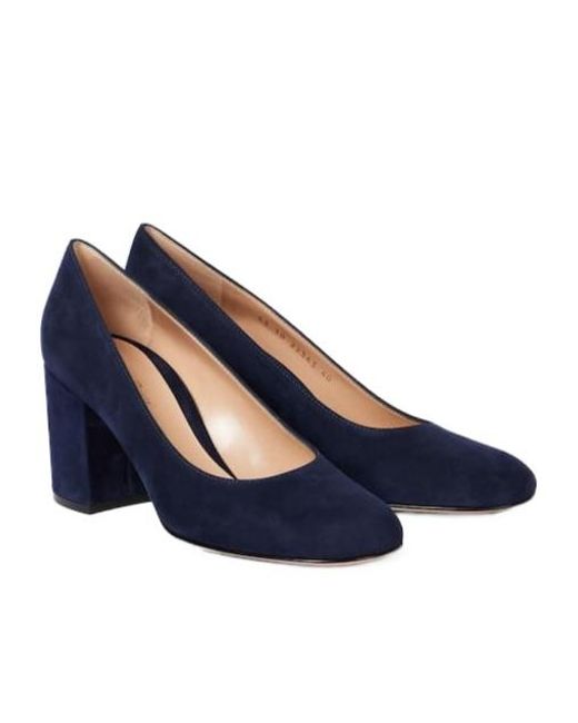 Gianvito Rossi Blue Solid Suede Pumps