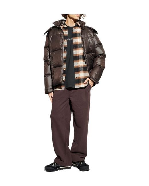 AllSaints Brown Asher Sweatpants