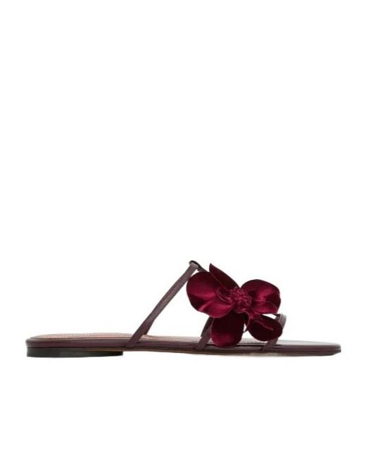 Zimmermann Purple Orchid Slide Floral-Applique Sandals