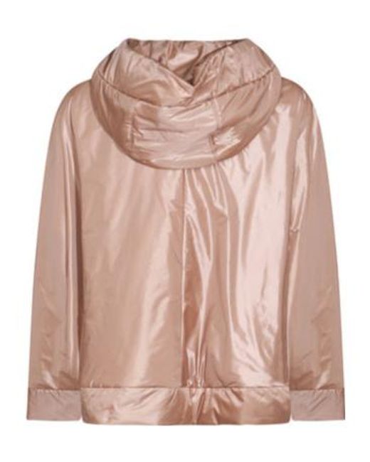 Max Mara Brown Long-Sleeved Casual Jacket