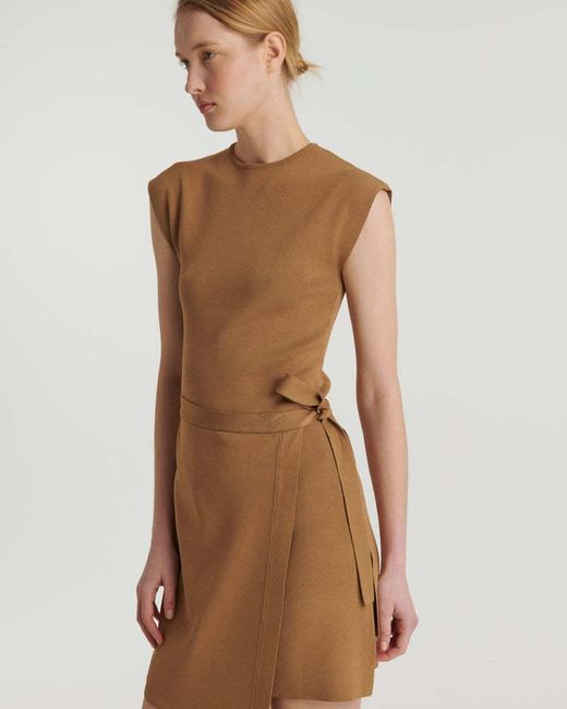 Yves Salomon Brown Sleeveless Dress
