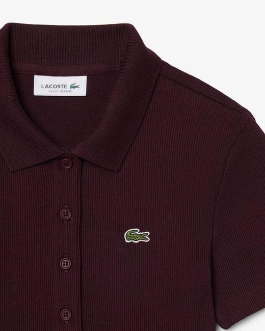 Lacoste Red Slim Fit L.12.D Ribbed Cotton Polo Shirt