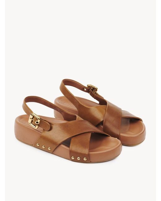 Chloé Brown Chloé Mae Buckle Detailed Sandals