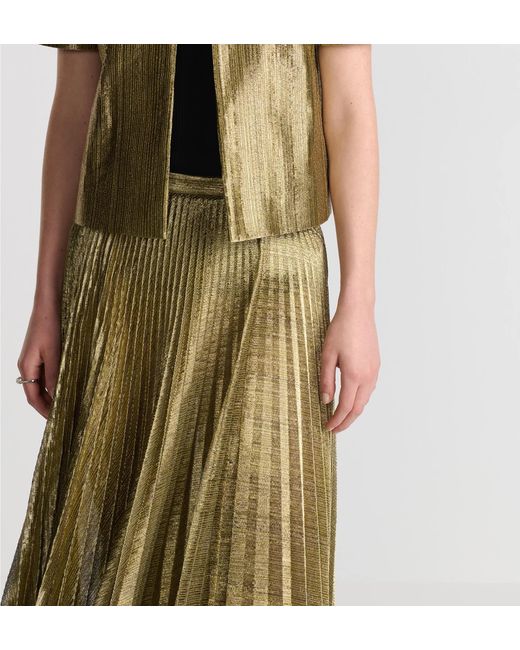 Dior Multicolor Or Mid-Length Pleated Skirt