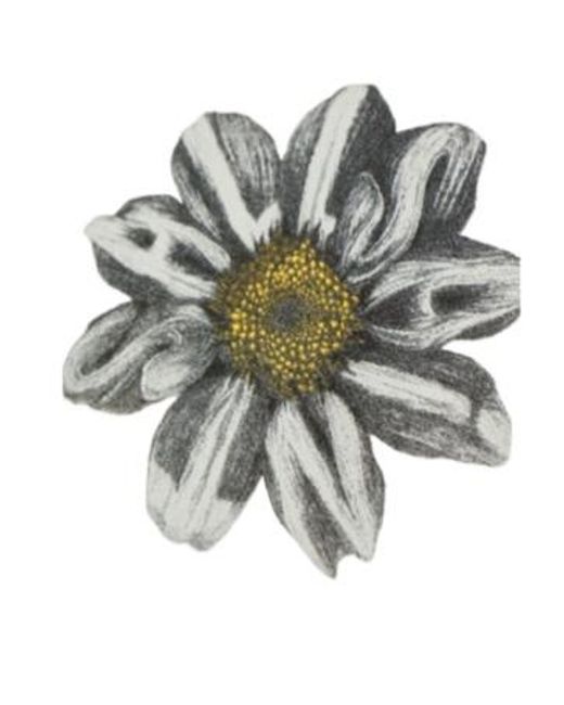 AllSaints White Petals Graphic T-Shirt
