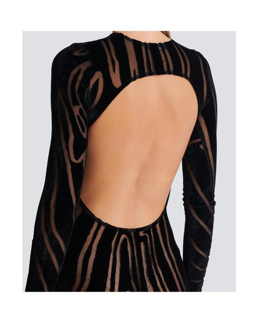 Balmain Black Velvet Zebra-Print Long-Sleeve Open-Back Midi Dress