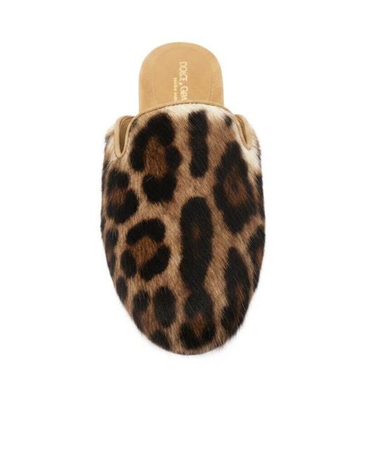 Dolce & Gabbana Multicolor Leo Kid-Leather Mules
