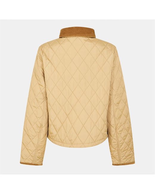 Burberry Natural Oldham Jacket