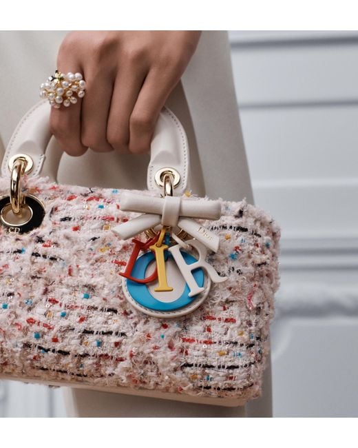Dior Multicolor Mini Lady D-Joy Bag