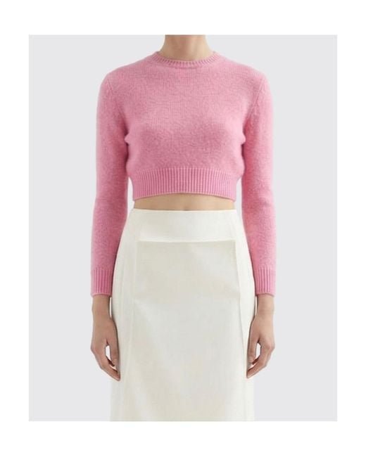 Jil Sander Pink Cropped Crew Neck Knitted Sweater