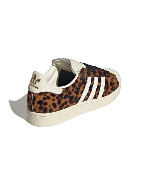 Adidas Originals Brown Superstar Ii Shoes