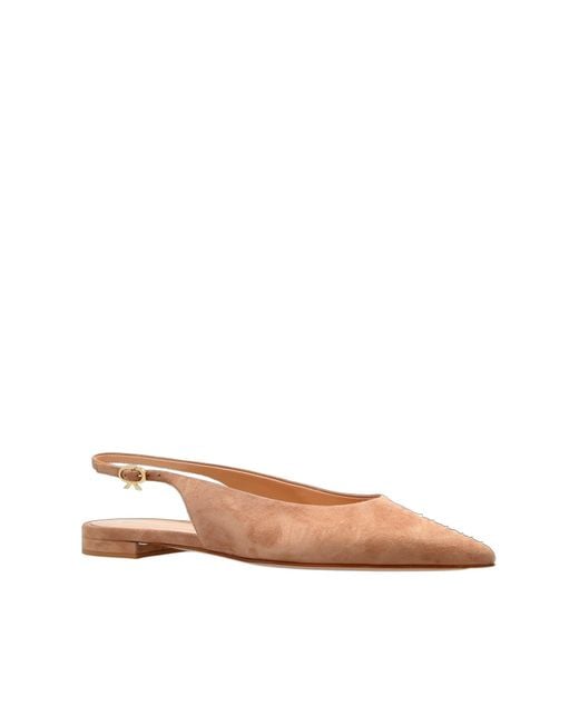 Gianvito Rossi Brown Robbie Pointed-Toe Ballerinas