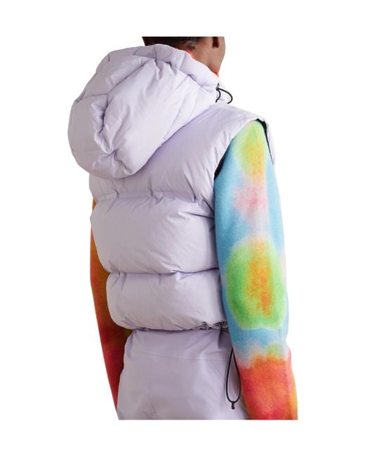 Aztech Mountain Multicolor Snowbird Hooded Quilted Shell Down Gilet
