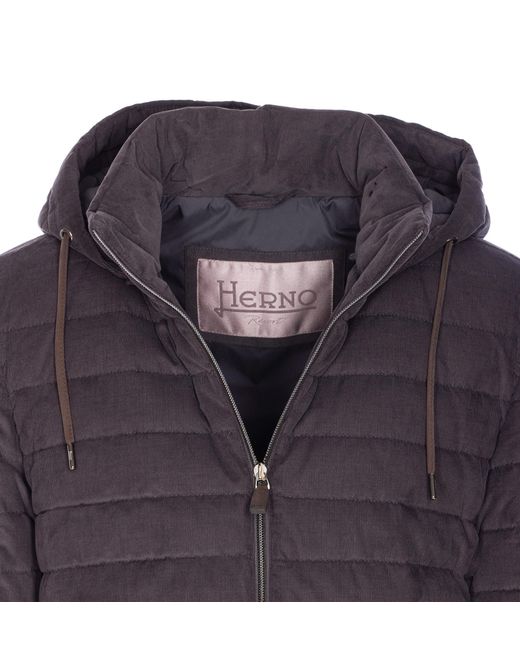 Herno Purple Quilted Hooded Jacket for men